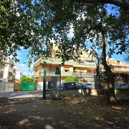 Il Mare Dei Delfini *