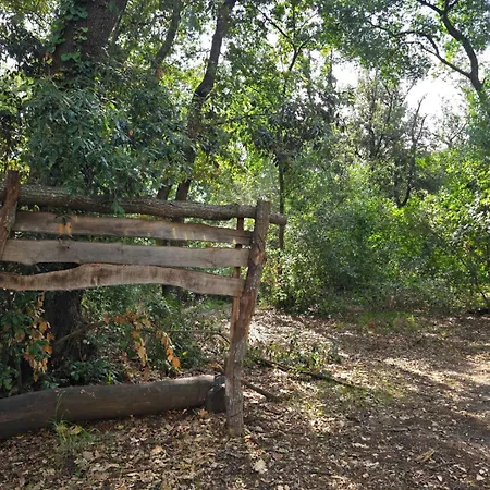 アパート Il Mare Dei Delfini